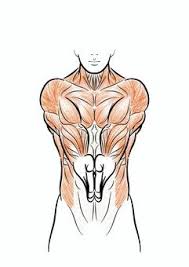 근육량 늘리는 방법