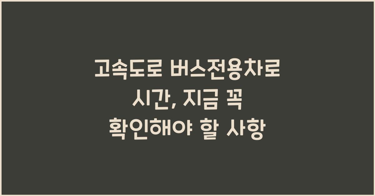 고속도로 버스전용차로 시간