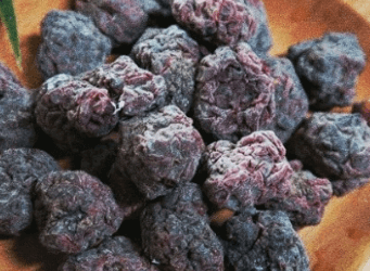 구찌뽕 효능 열매 먹는 법