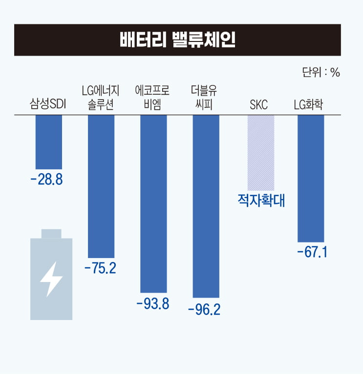 배터리 밸류체인
