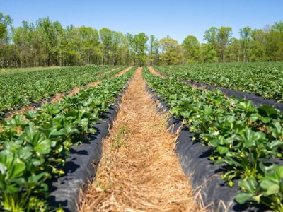 경기도 조상땅 찾기 신청방법 경기도 온라인 신청 방법 조회 후기보기