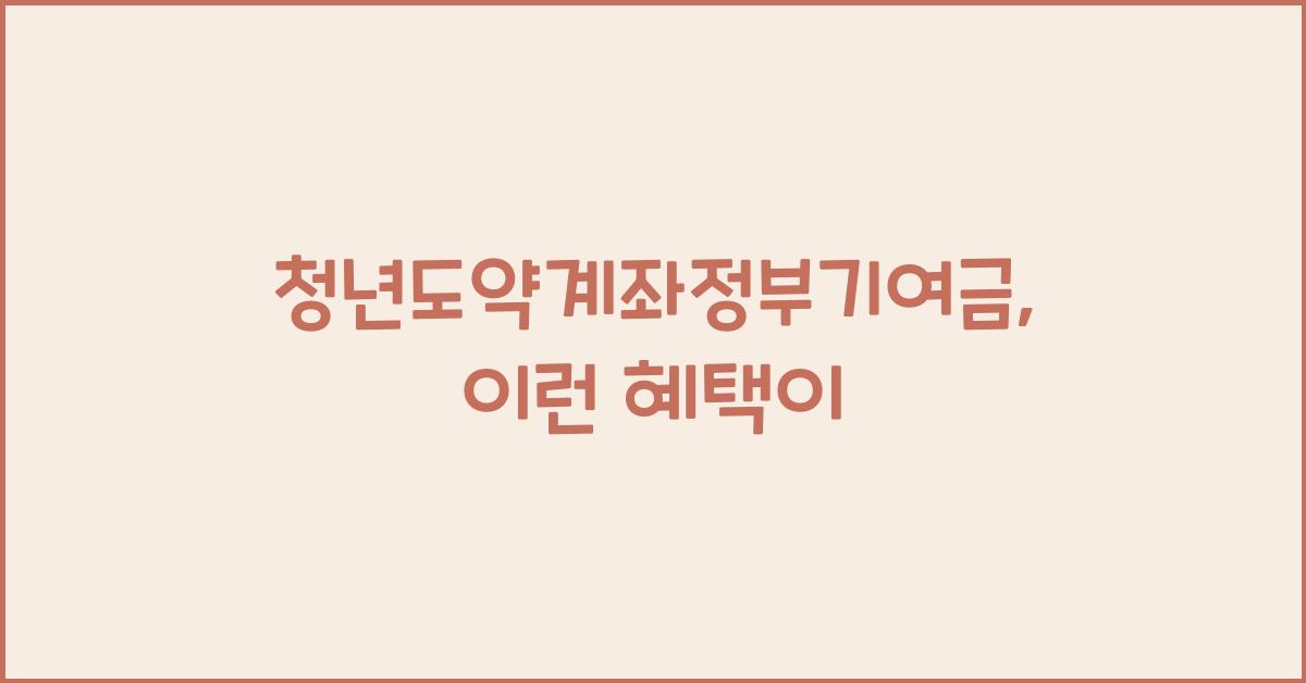 청년도약계좌정부기여금