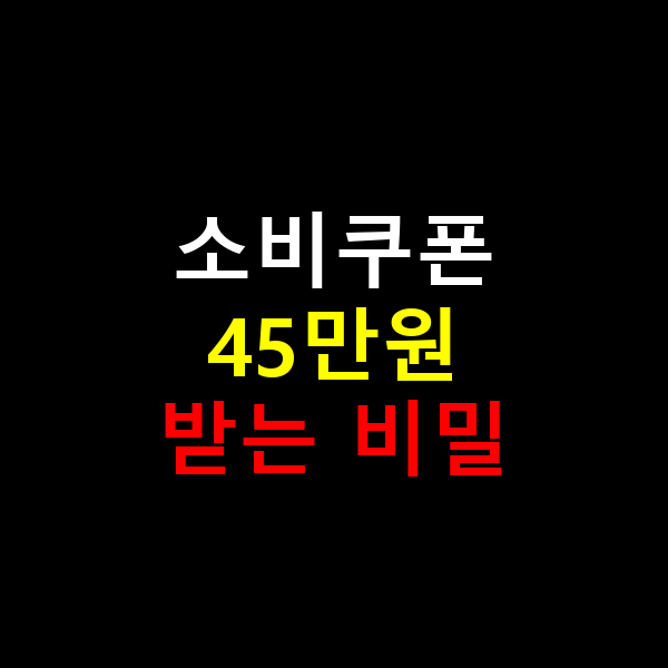 소비쿠폰 45만원 받는 비밀