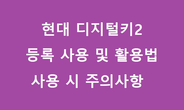 현대 디지털키2