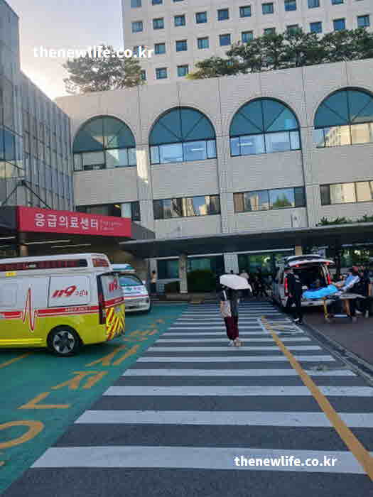 열사병 응급처치 응급처치 119신고