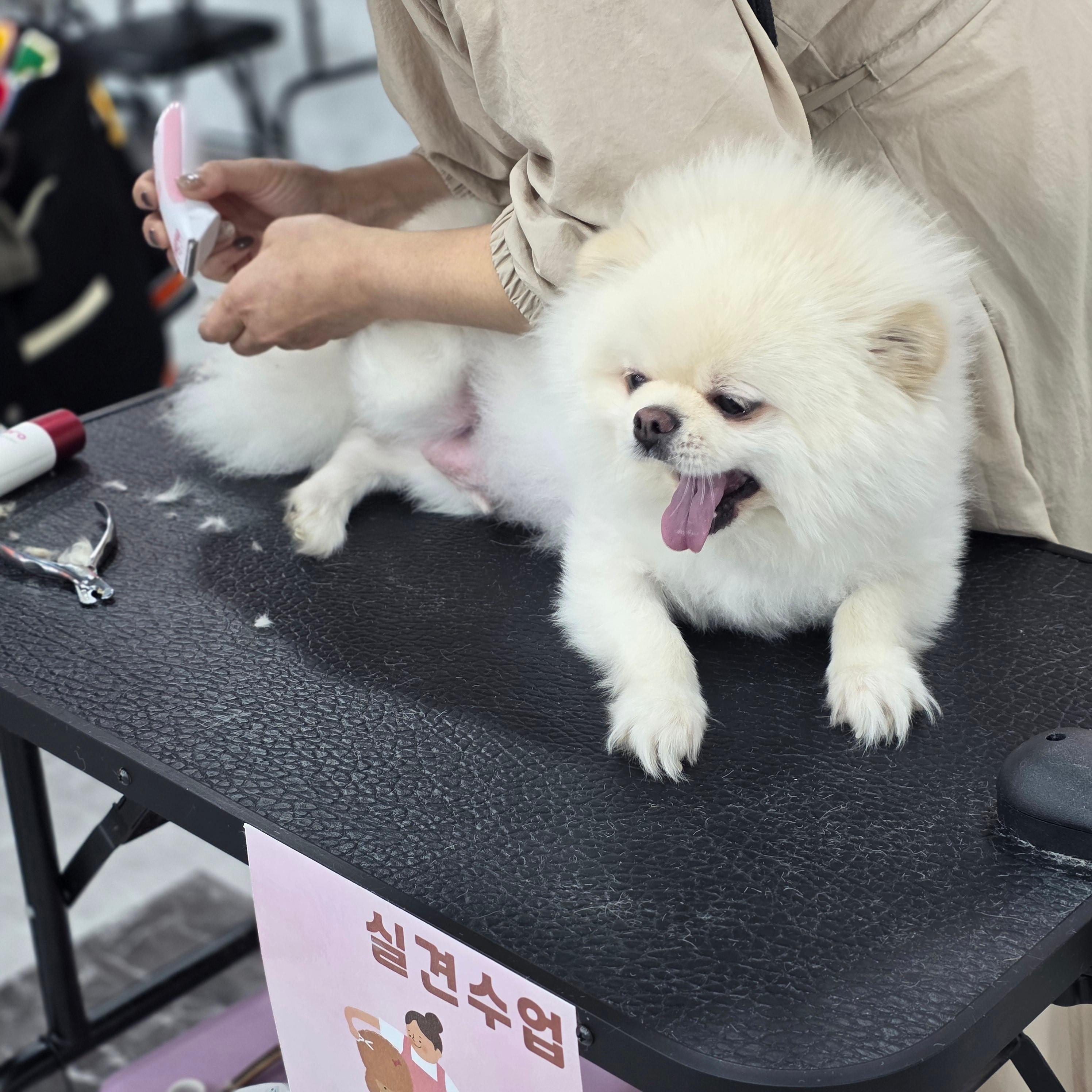 수강생들의 실력이 현장에 투입 가능한 수준