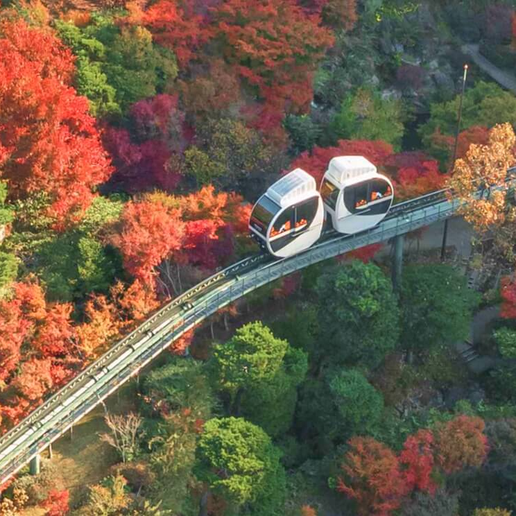 화담숲 예약방법 알아보기