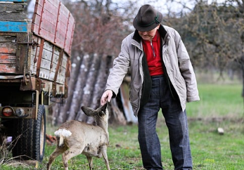 65세이상-임플란트-정부지원-받는방법