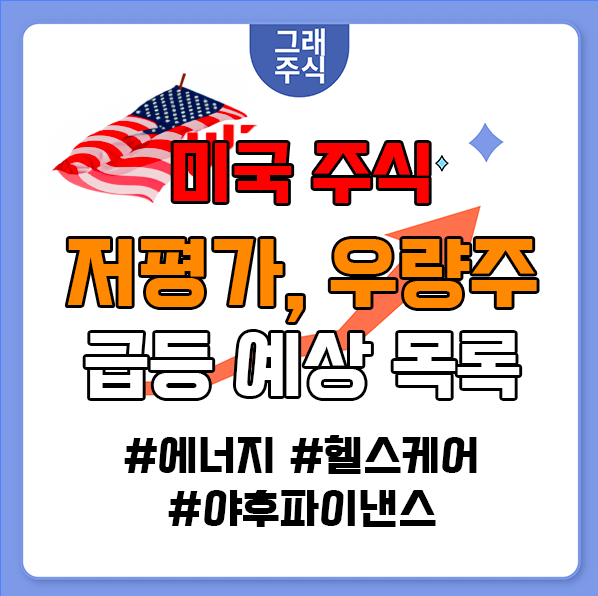 미국 저평가 우량주