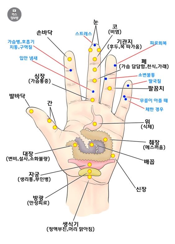 체한 증상에 효과적인 민간요법과 지압법