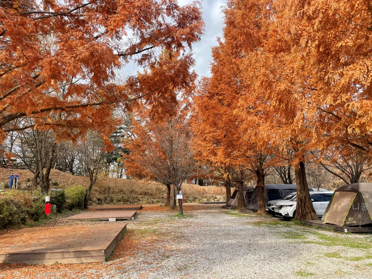 경기도-양주-새로-오픈한-봄이오는캠프-사이트별-사진-및-특징-정리(가족캠핑-2박후기)