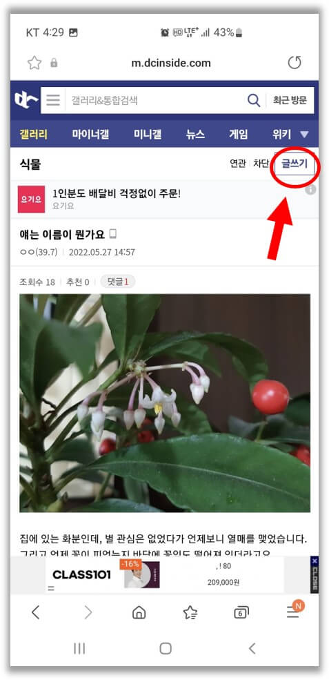 디시인사이드-식물갤러리