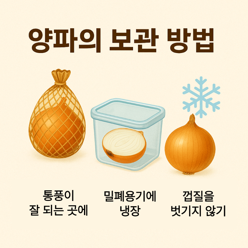 양파의 올바른 보관 방법 – 상온, 냉장 보관법 및 썰어 둔 양파의 관리 팁 이미지