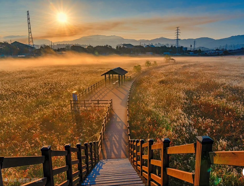 대구 일출 명소 대명유수지