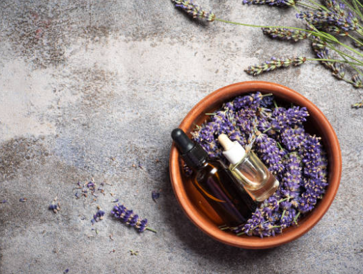 불안감을 완화하는 천연 허브