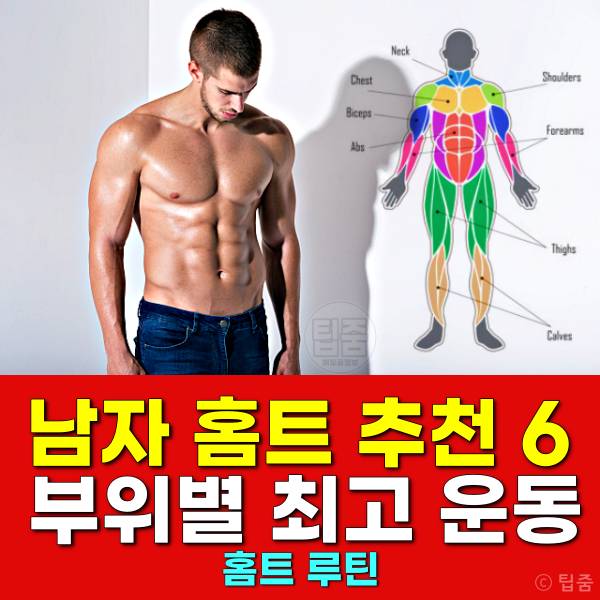 남자 홈트 추천 맨몸운동 홈트루틴 부위별 근력운동