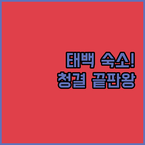 태백 호텔 모텔 인기 순위 5곳 청결..