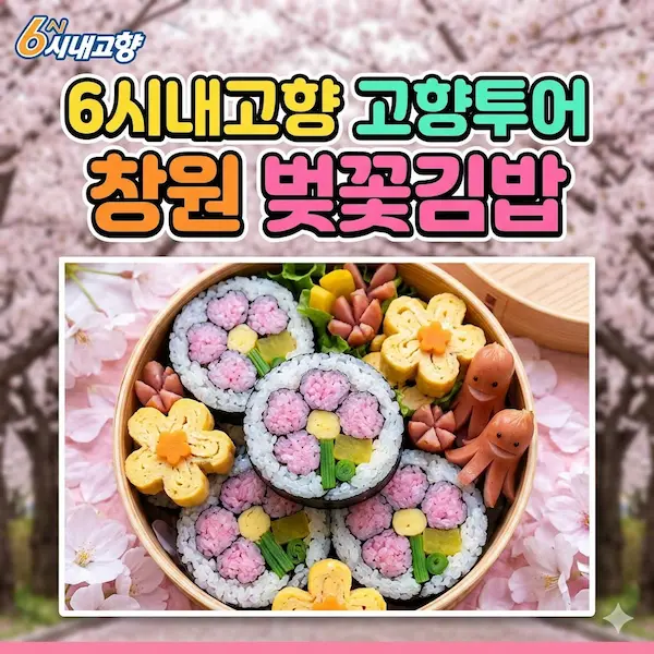6시내고향 고향투어 창원 벚꽃김밥 썸네일