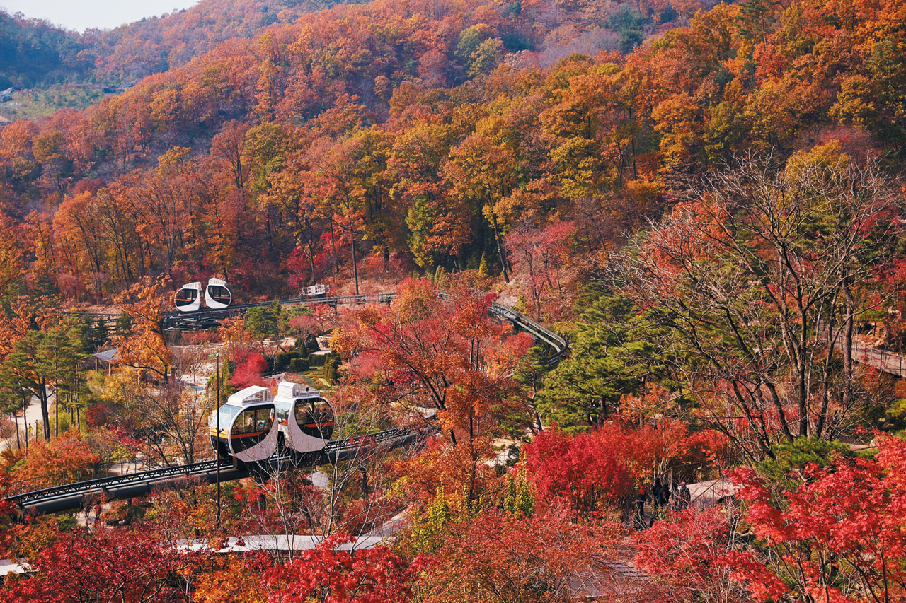 화담숲 단풍