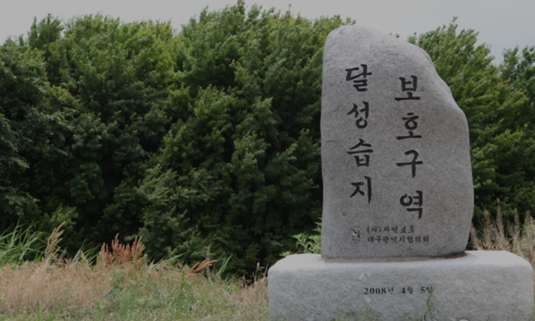 대구 달성습지