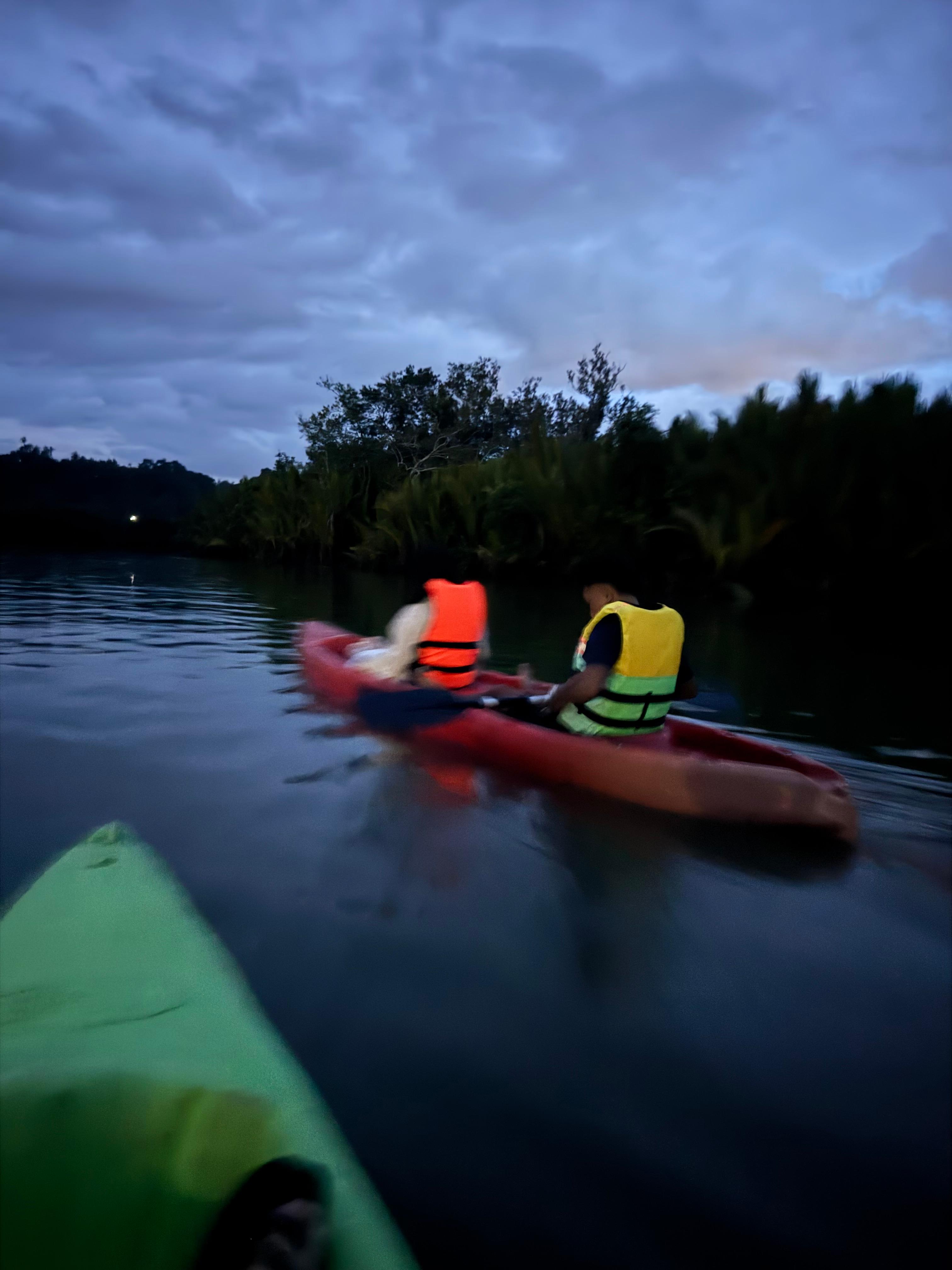 보홀 반딧불 카약 반딧불 투어