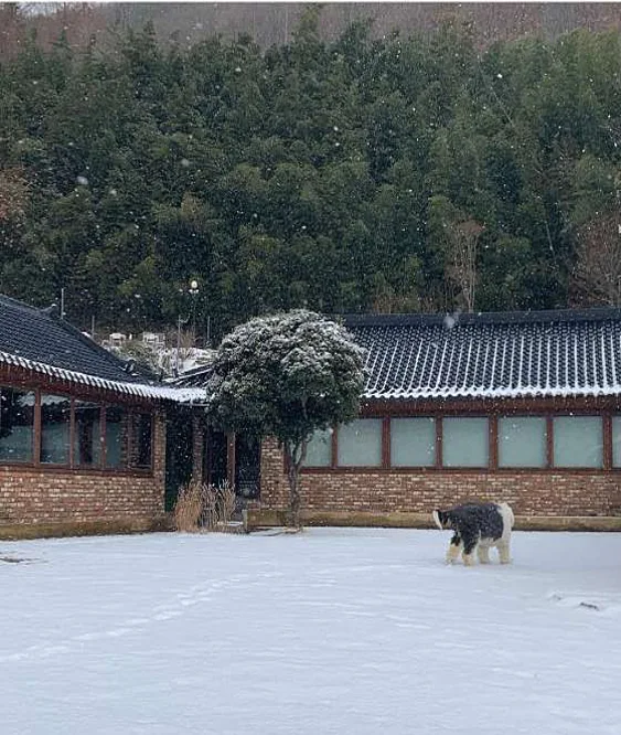 오퐁드부아