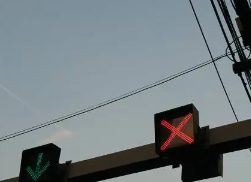 신호위반 실시간 조회