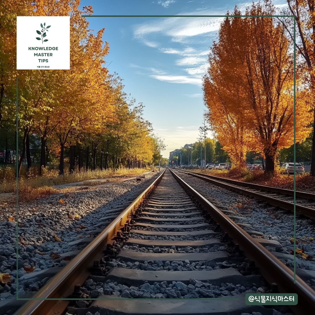 서울 단풍 명소 - 경춘선 숲길