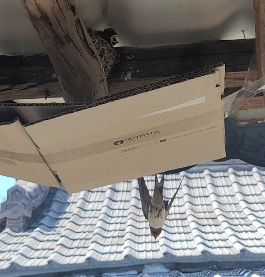 제천 카페 추천