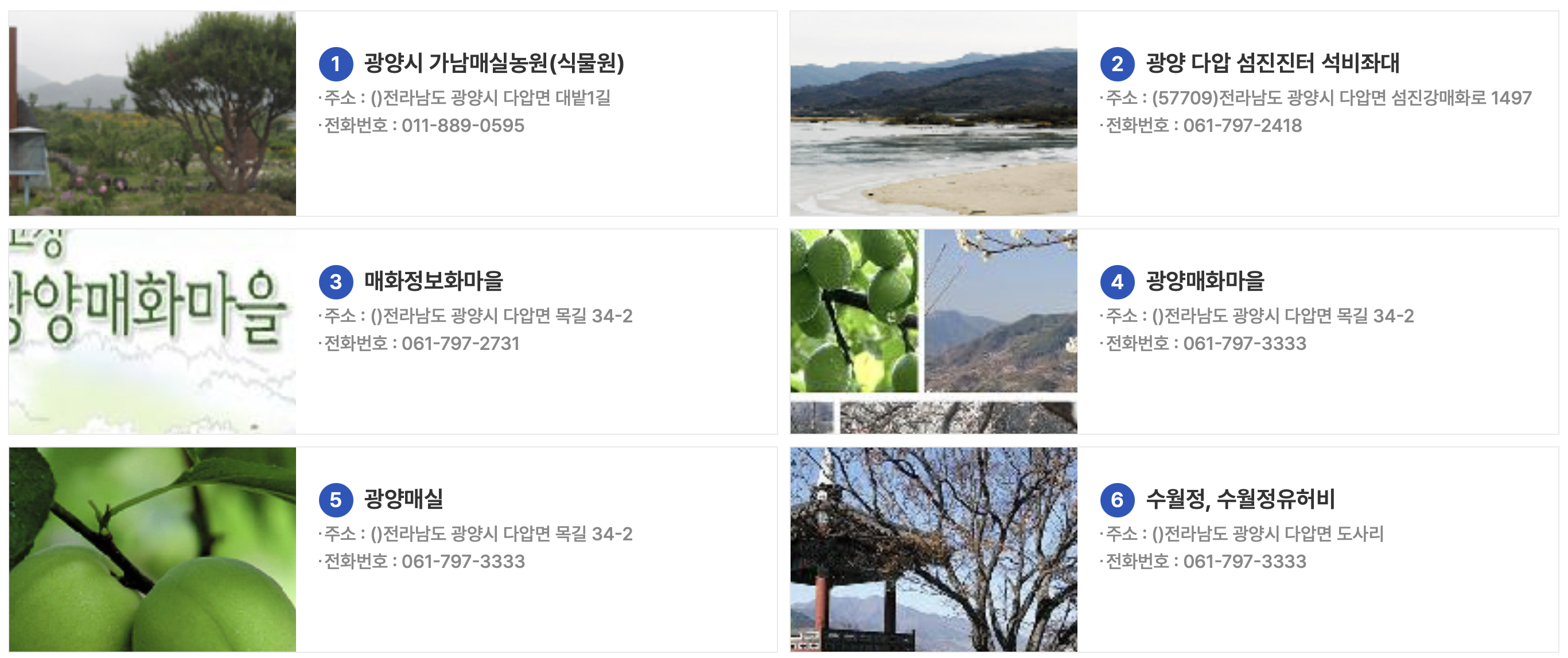 광양매화축제
