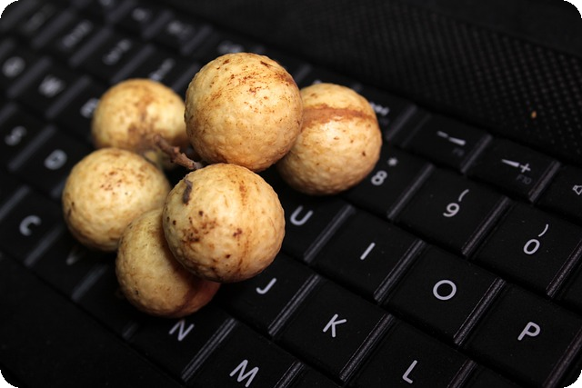 여주 캐슬파인cc 모습
![