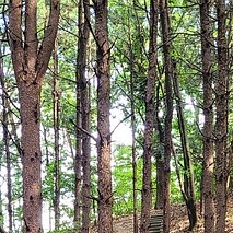 경상도 자연휴양림 추천