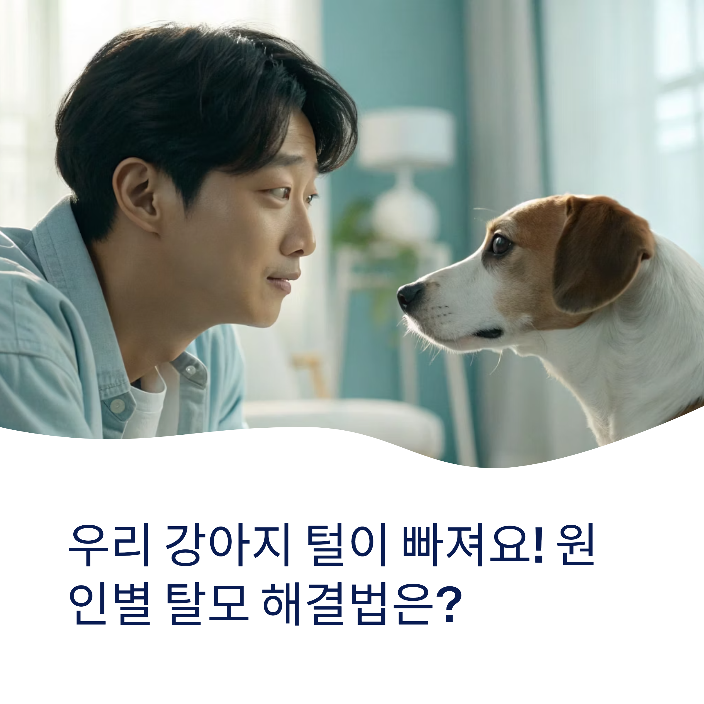 강아지 탈모, 원인부터 대처법까지