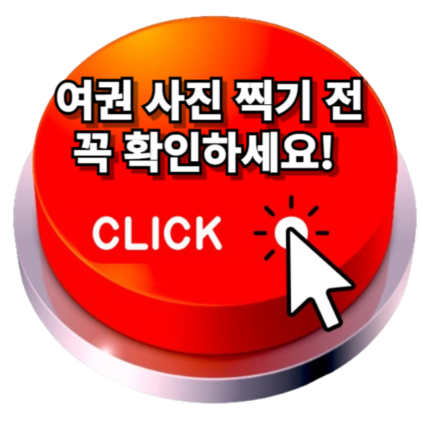 여권 사진 규격 규정 조회하기