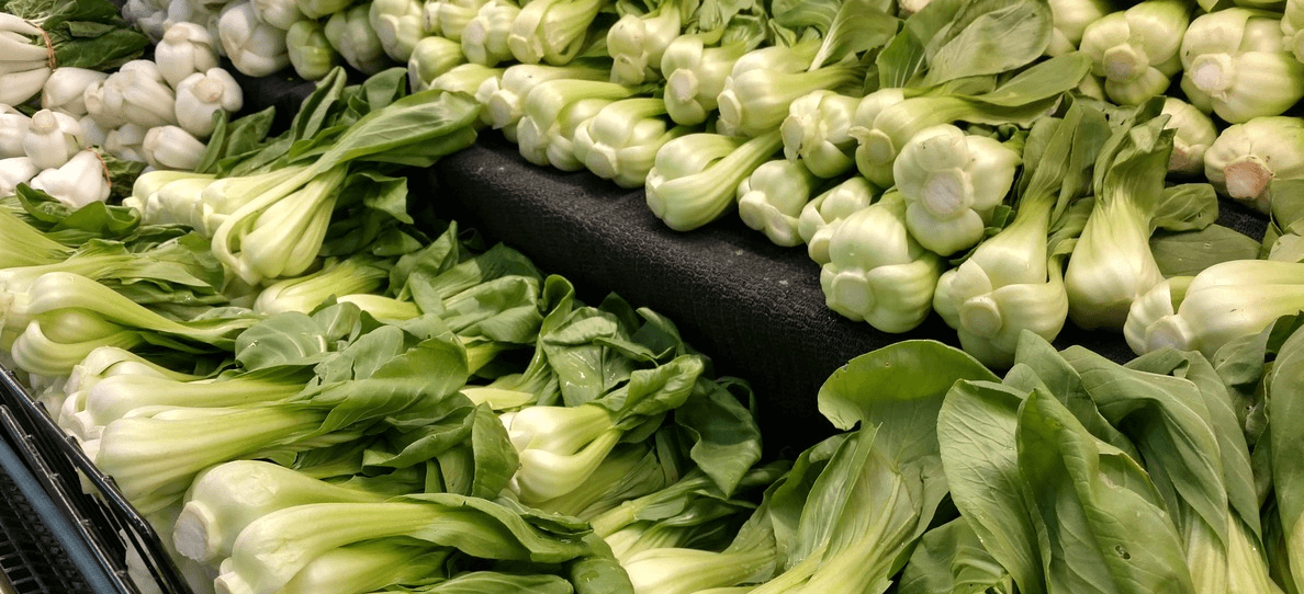 청경채 사진 - 17