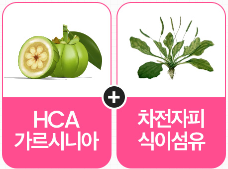 푸응다이어트복숭아맛
