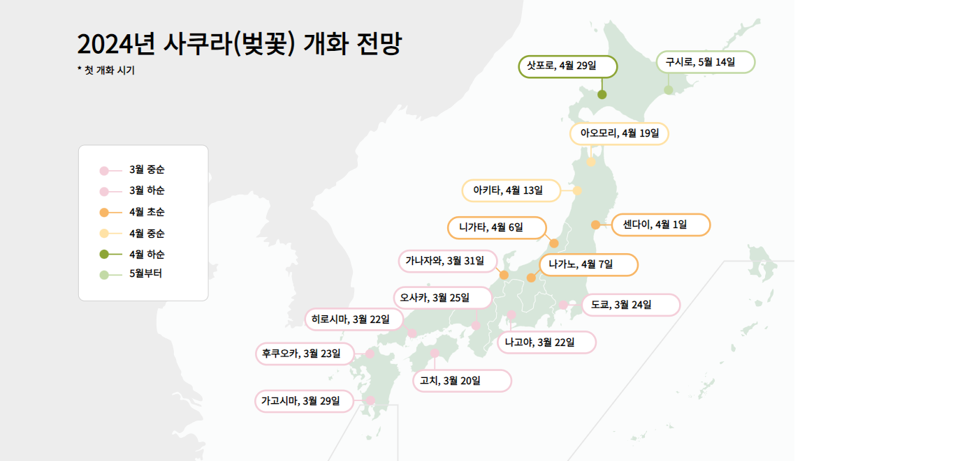 일본 후쿠호카 벚꽃