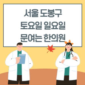 서울 도봉구 토요일 일요일 한의원 진료 병원 리스트