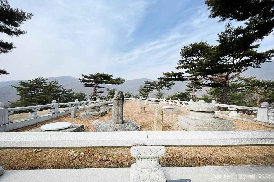 성주 가볼만한곳 베스트10