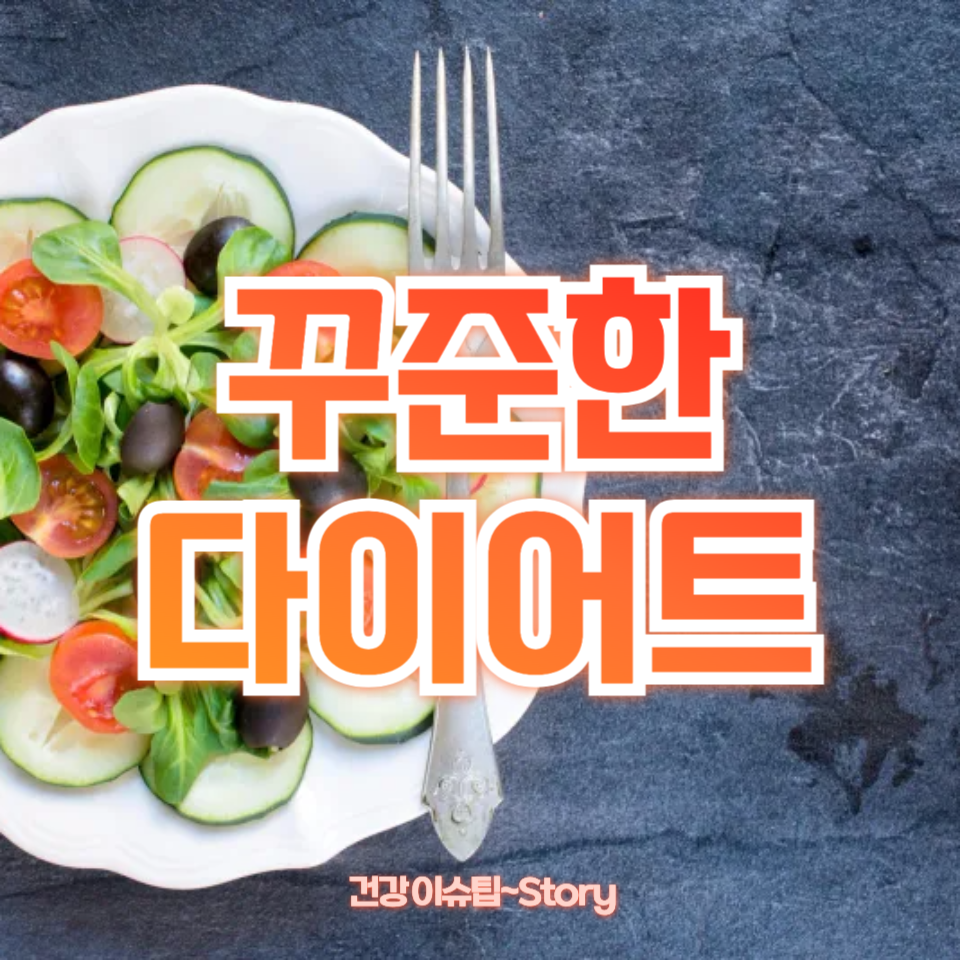 꾸준한 다이어트