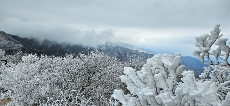 소백산 눈꽃산행