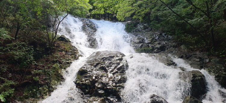 거제 자연휴양림