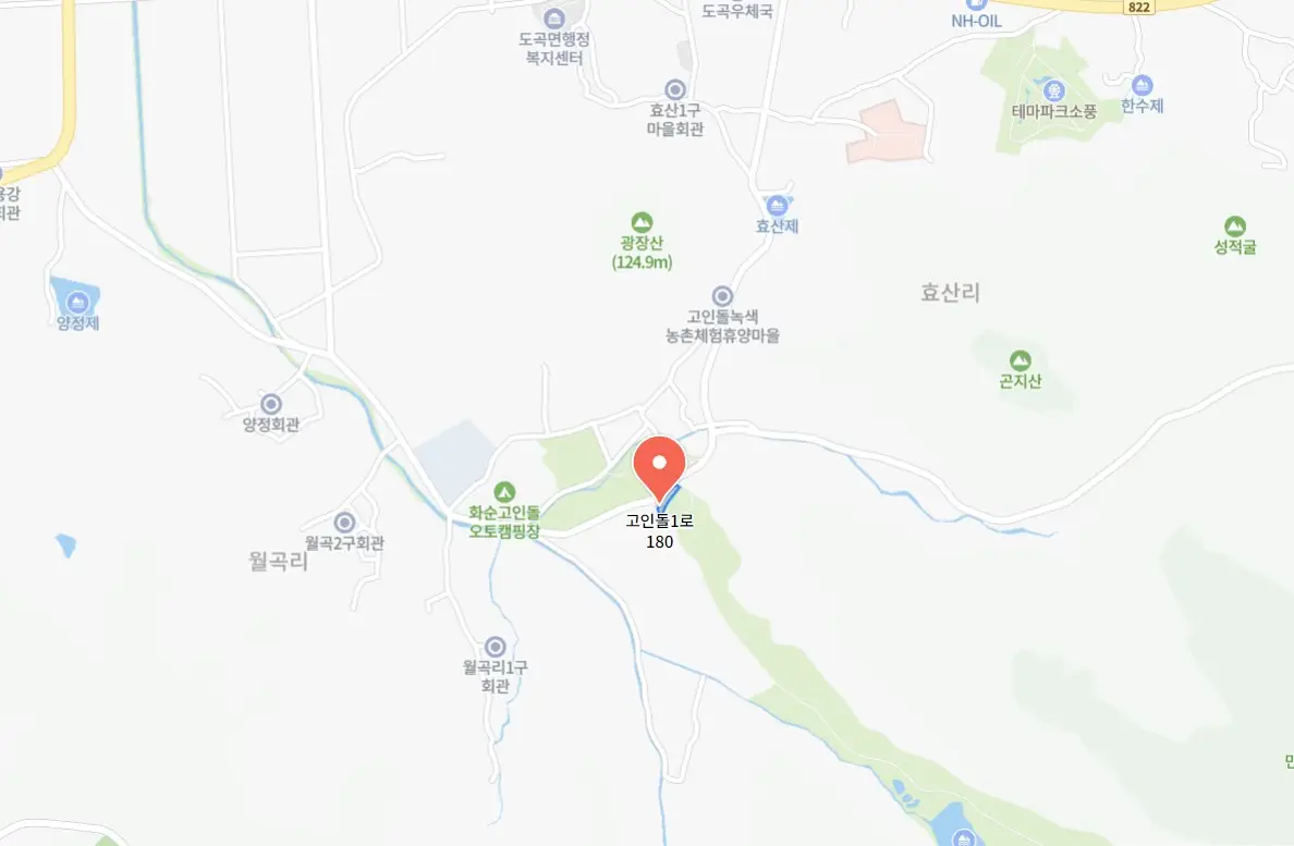 화순 고인돌 가을꽃 축제