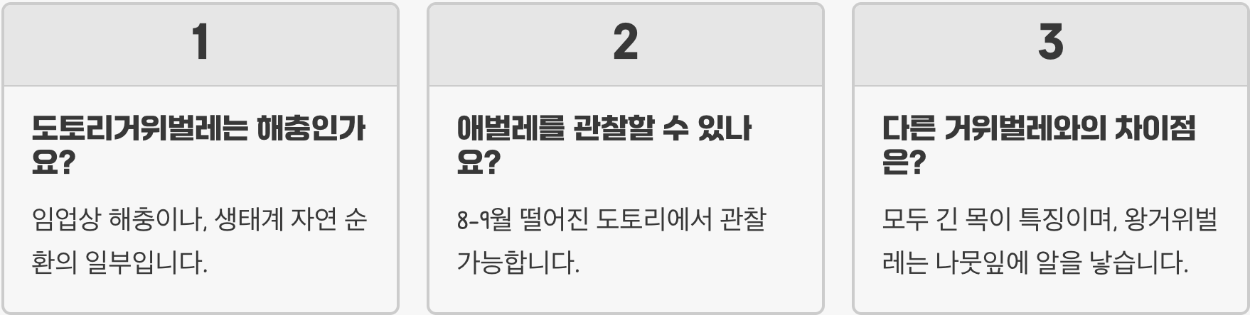 도토리에 구멍 뚫는 범인, 도토리거위벌레의 신기한 한살이 A to Z