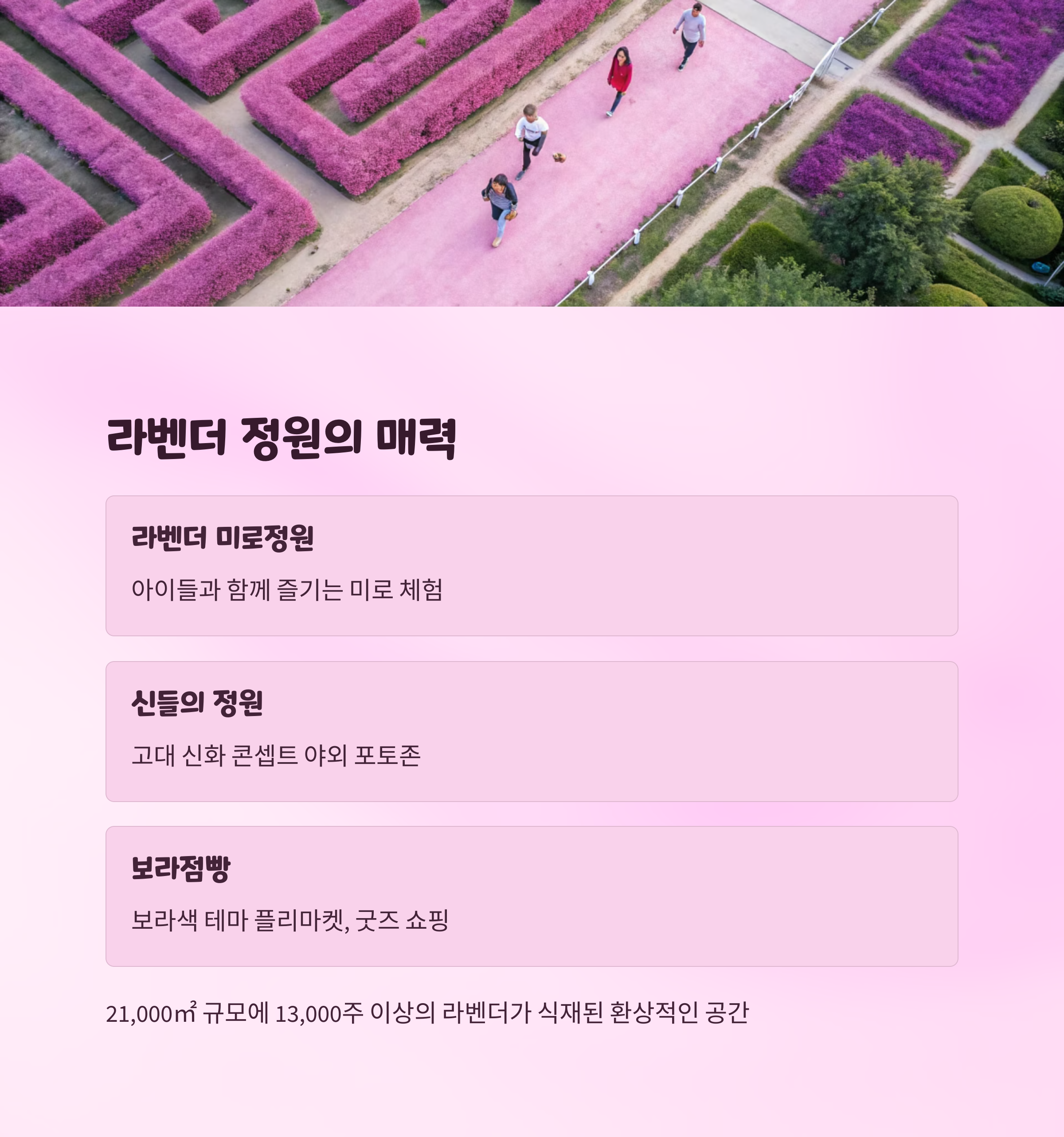 무릉별유천지 라벤더 축제 명소