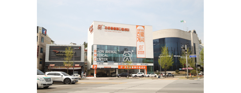 구미시 동물병원