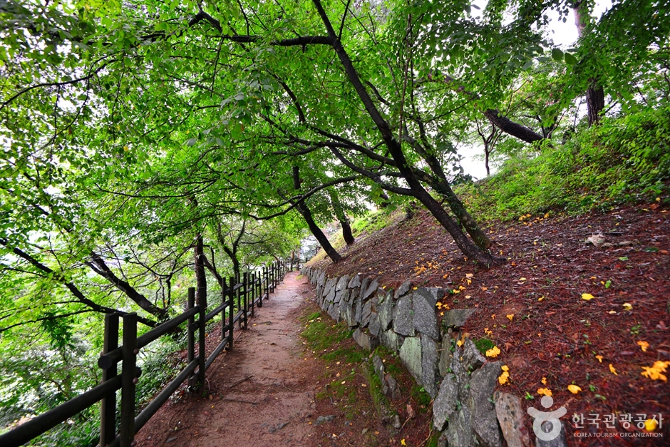 장성 가볼만한곳 베스트10