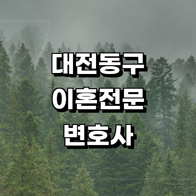 대전 동구 이혼 변호사