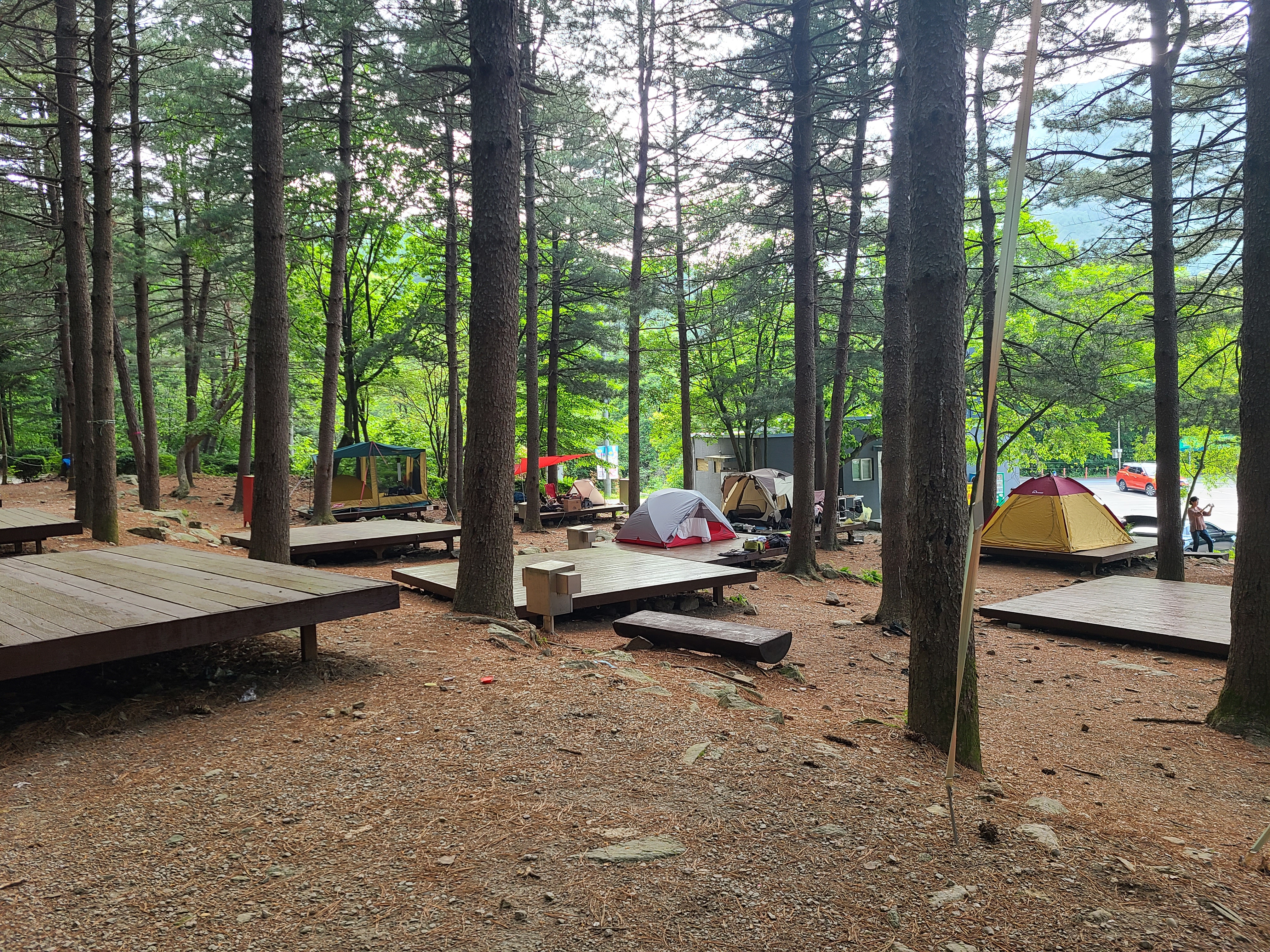 유명산자연휴양림 제1야영장