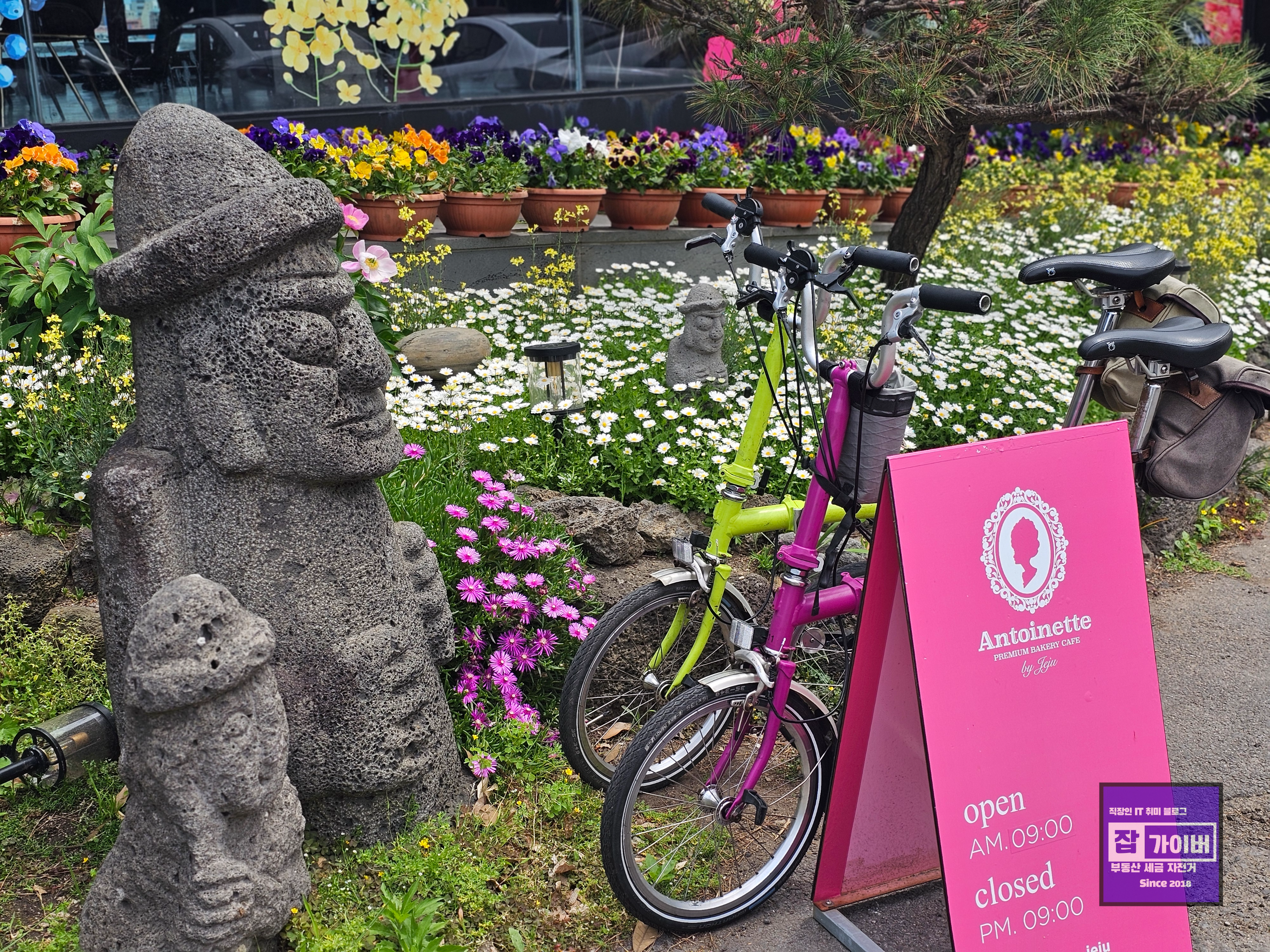 제주도 환상 자전거종주길 남쪽 구간 풍경(정방폭포·서귀포 라인 인근)